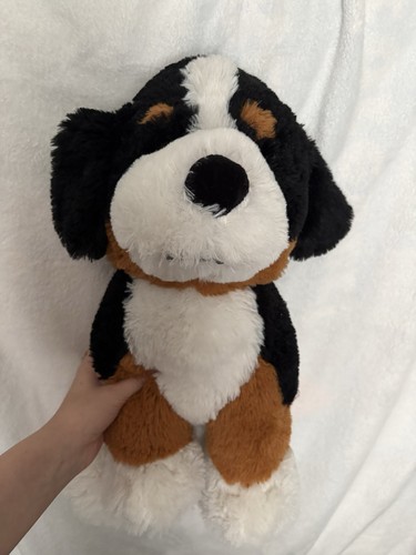 Bernese mountain dog - dog, teddy