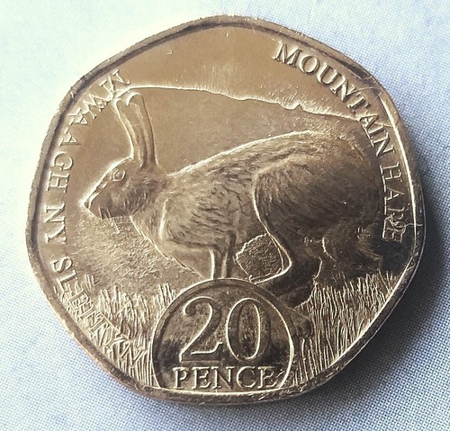 Isle man 20p coin - man,