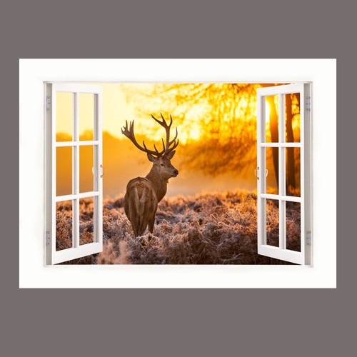 Stag deer forest - deer,
