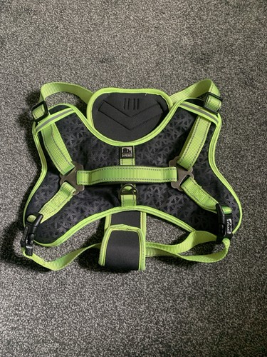 Peaks trail dog - dog, harness