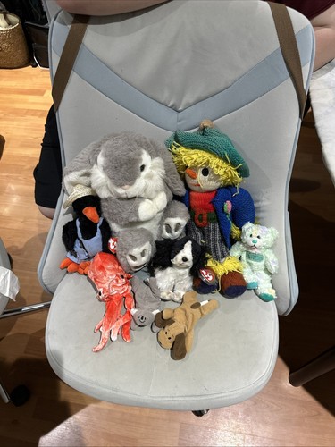 Plushies dogs ty - -,