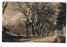 HAWICK POSTCARD - Branxholme Avenue Hawick Roxburghshire