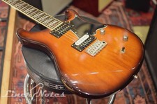 Paul Reed Smith(PRS) 2002 SE