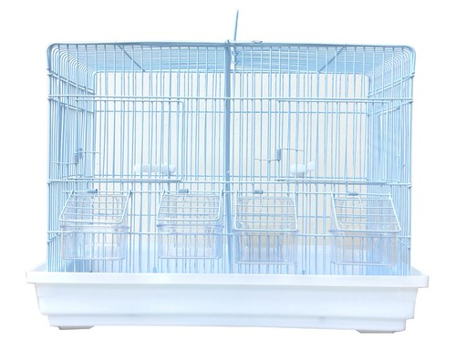 Divided bird flight breeding - bird,