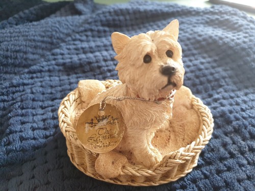 Highland white terrier - highland,