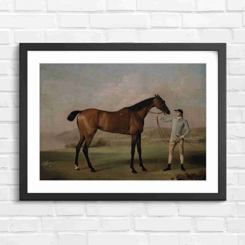 Vintage brown hunter - vintage,