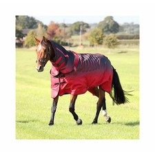 Shires Tempest Original 100g