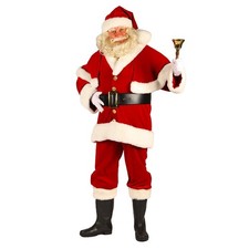 Professional santa claus - santa,