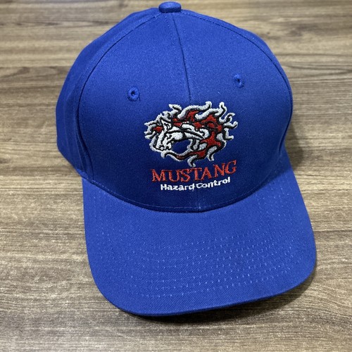 Mustang hazard control - hazard,