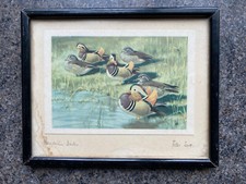 peter scott signed art wildfowl mandarin ducks