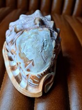 Hand Carved Cameo Sea Shell   Beautiful Young Lady Carving Shell Rare 