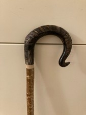 Rams Horn Shepherds Crook