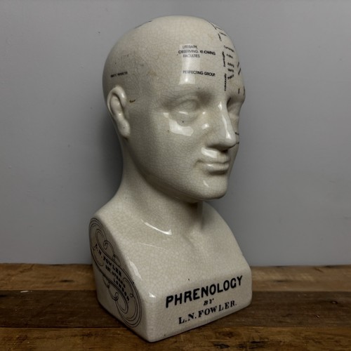 Ceramic phrenology head bust - ceramic,