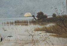Sunset at the Lake, Reeds
