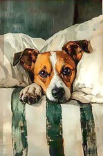 Jack Russell Dog in Bed Oil