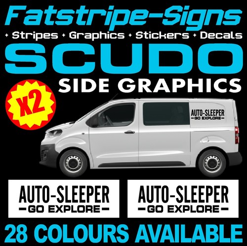 Fits fiat scudo graphics - fits,