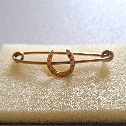 Horseshoe luck design brooch - luck,