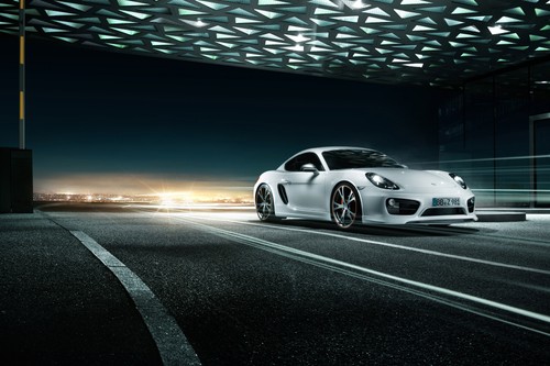 Cars 2013 techart porsche art - 2013,