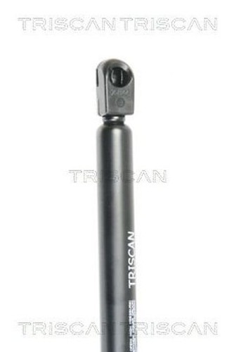 Fits triscan 8710 16251 rear - fits,