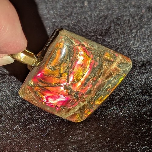 Ammolite pendant polished - ammolite,