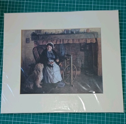 David shephard welsh lady - david,