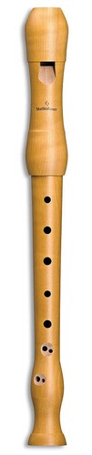 Mollenhauer 1042 student - mollenhauer,