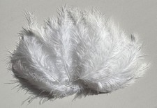 Marabou Feathers 20 or 40 In