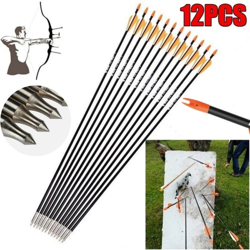 12pcs fiberglass arrows - 12pcs,