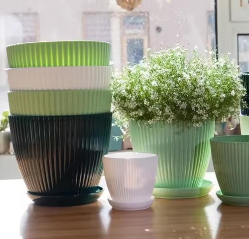 Plant pots indoor outdoor - plant,