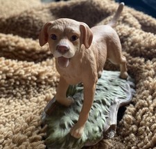 Royal Osbourne Golden Labrador