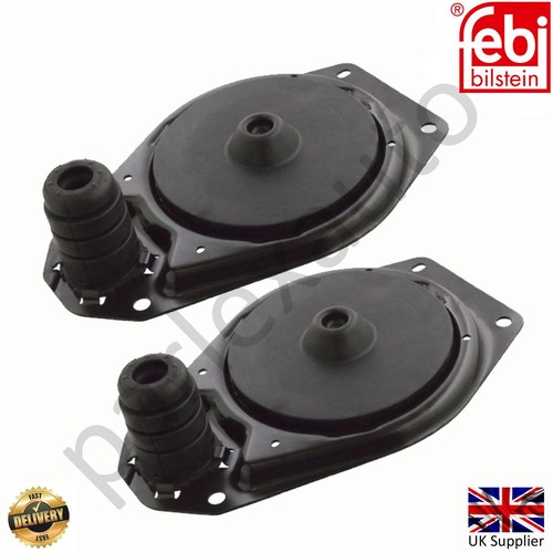 Rear upper strut - rear, mounting
