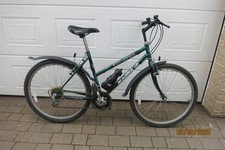 Ladies Magna Equator Metallic