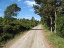 Photo 6x4 Road to Corriemulzie