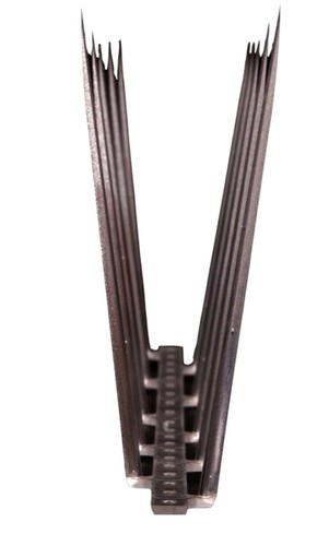 Pigeon bird spikes walls - pigeon,