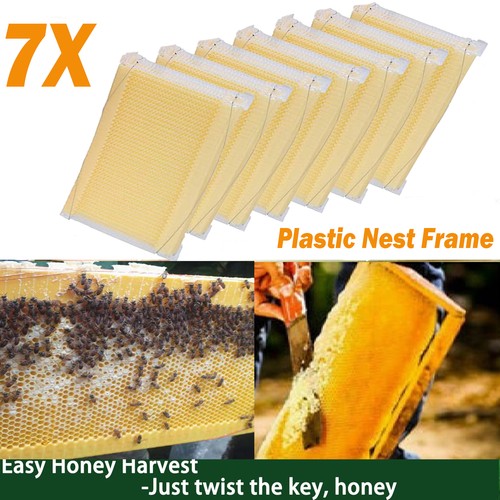 7pcs 4pcs 1pcs auto honey - 7pcs/4pcs/1pcs,