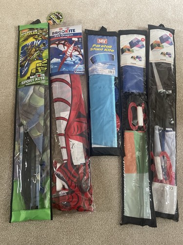 New kites fire dragon - 5,