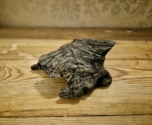 Varnished natural driftwood - natural,