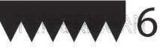 Black V-Ribbed Belt TRISCAN