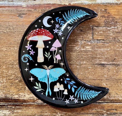 New dark forest mushroom - new,