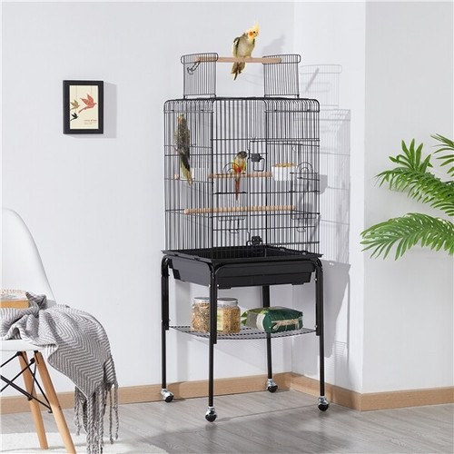 Bird cage open play - bird,
