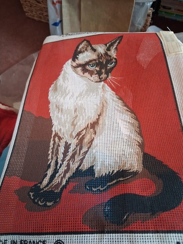 Margot paris siamese cat - de,
