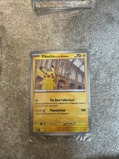 Pokemon Pikachu At The Museum