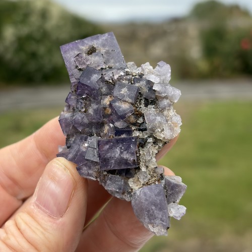Fluorite specimen from - fluorite,