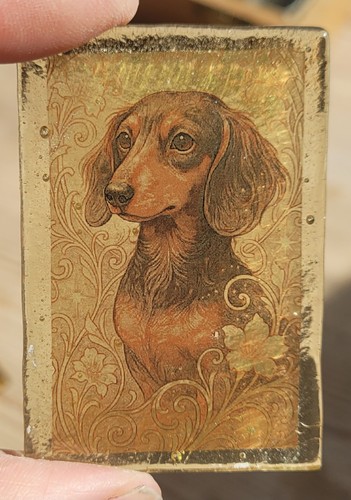 Stained glass dachshund dog - stained,