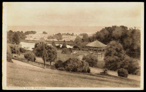 Vintage cwmdonkin park swansea - cwmdonkin,