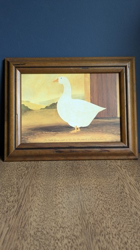Vintage martin wiscombe framed - martin,