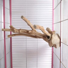 Java Multi Perch for Parrots