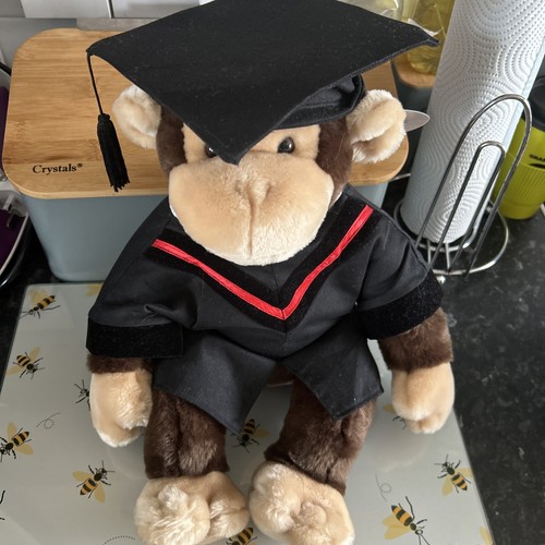 Bear factory graduate monkey - bear,