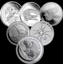 UK 1oz solid 0.99% silver coin