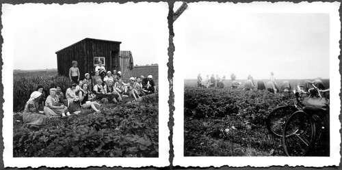 Ww2 original photos of - ww2,